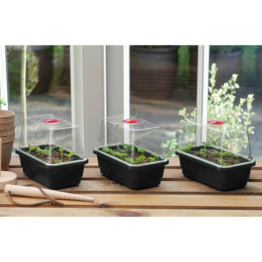 Minidrivhus, mini, svart, 3-pack