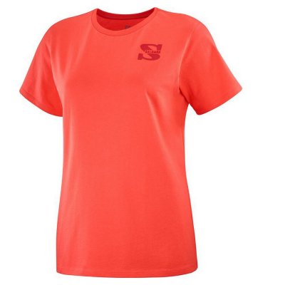 T-shirt med kortärm Herr Salomon Outlife Small Logo Orange (Storlek: M)