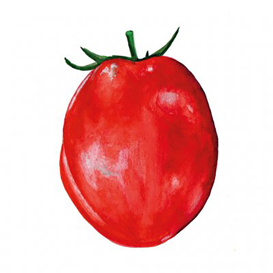 Tomat 'Amish Paste'