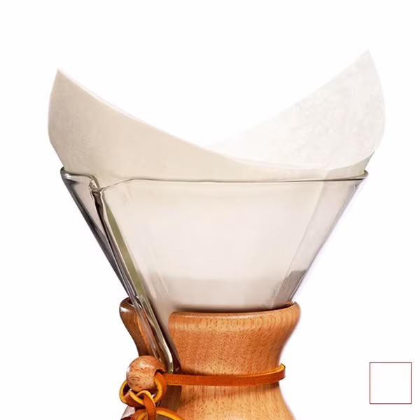 Chemex FS-100 Filter