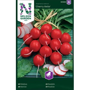 Fröer Nelson Garden Rädisa Cherry Belle