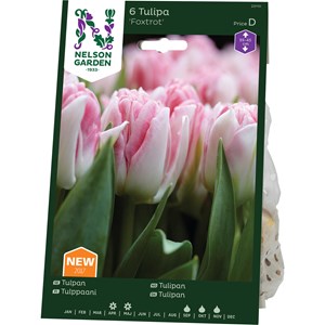 Höstlök Nelson Garden Tidig Fylld Tulpan Foxtrot Rosa/Vit