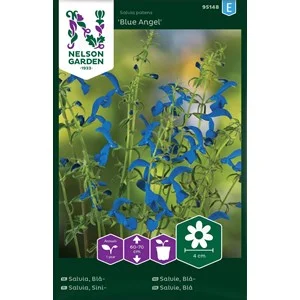 Fröer Nelson Garden Blåsalvia Blue Angel