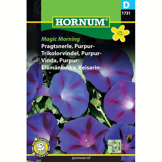 Purpurvinda 'Magic Morning'