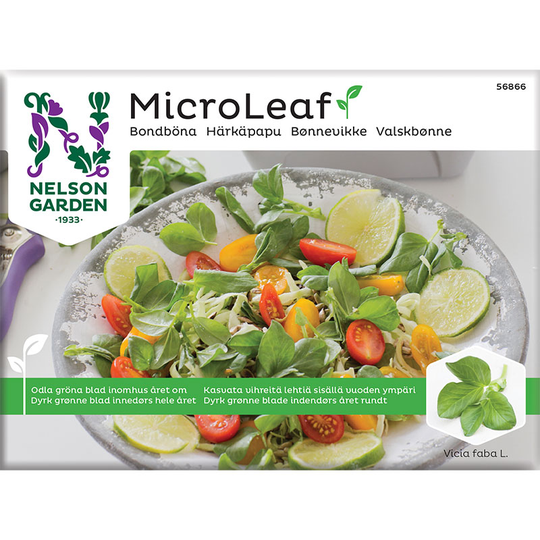 Micro leaf, Bondböna