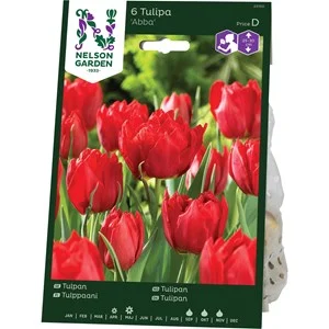 Höstlök Nelson Garden Tidig Fylld Tulpan Abba Röd