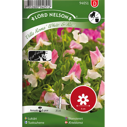Luktärt 'Villa Roma White & Rose'