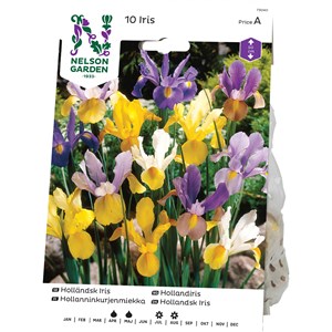 Vårlök Nelson Garden Iris Holländsk, Blandade färger