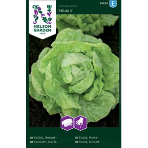 Fröer Nelson Garden Sallat Huvud Hilde Såband