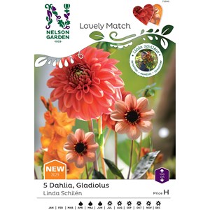 Vårlök Nelson Garden Dahlia Gladiolus Linda Schilén Lovely Match
