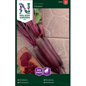 Fröer Nelson Garden Rödbeta Forono Avlång Big Pack