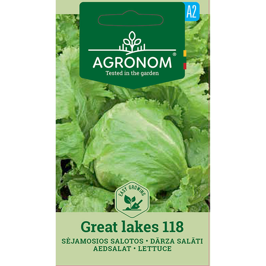 Isbergssallat 'Great Lakes'