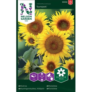 Fröer Nelson Garden Solros Sunspot Låg