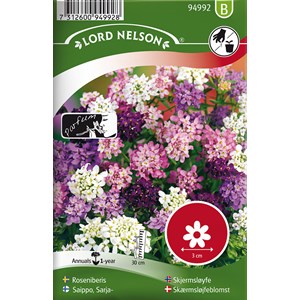 Fröer Nelson Garden Roseniberis Blandade Färger