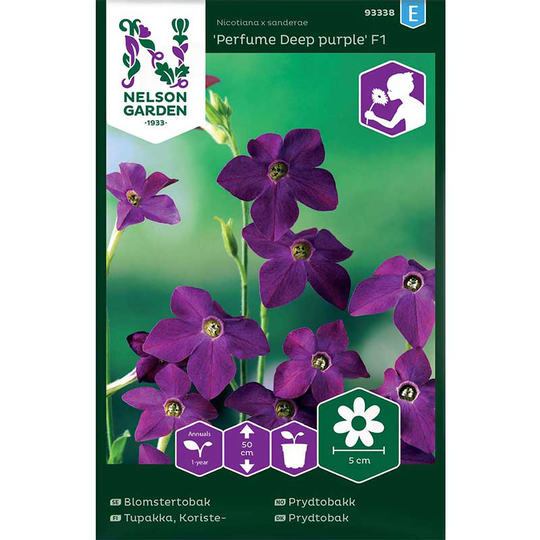 Blomstertobak 'Perfume Deep Purple' F1
