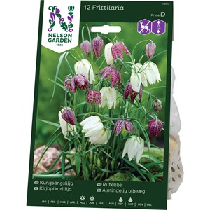 Höstlök Nelson Garden Kungsängslilja Blandade Färger
