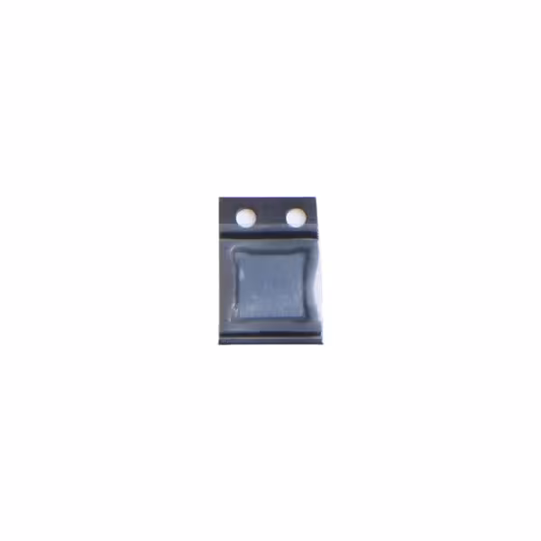 IC Audio 338S00509 iPhone 11