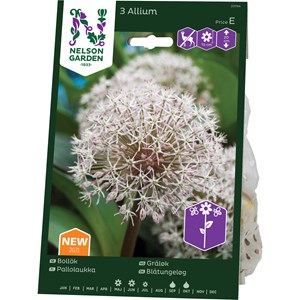 Höstlök Nelson Garden Bollök Karataviense