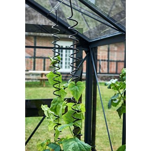 Plantspiral Juliana 3-pack