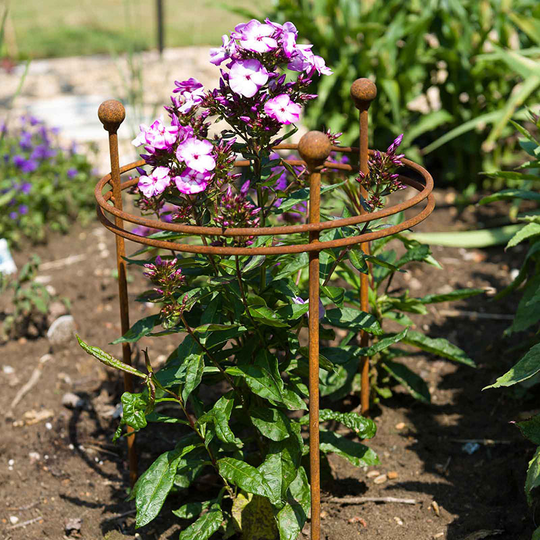 Växtstöd Circular 60x30 cm, rost