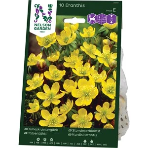 Höstlök Nelson Garden Vintergäck Gul