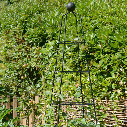 Spaljé Pyramid Wire Obelisks black, medium