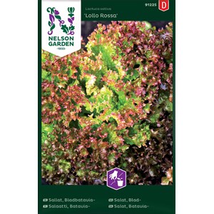 Fröer Nelson Garden Sallat Bladbatavia Lollo Rossa