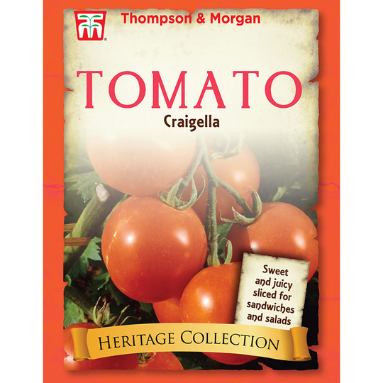 Tomat 'Craigella'