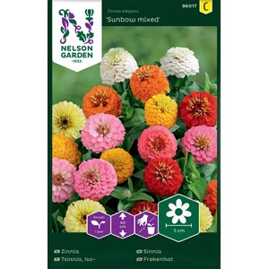 Fröer Nelson Garden Zinnia Sunbow Blandade färger