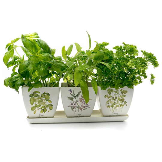Eco Bambukruka 3-set, Örter