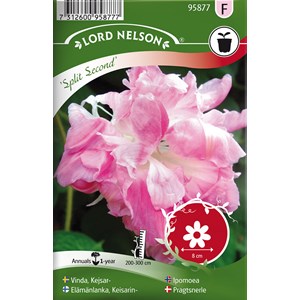 Fröer Nelson Garden Kejsarvinda Split Second Dubbla Rosa