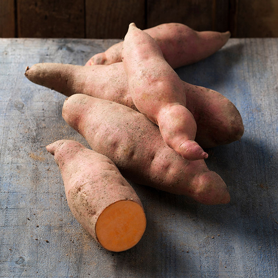 Sötpotatis 'Vineland Salmon Orange', ekologisk 3-pack