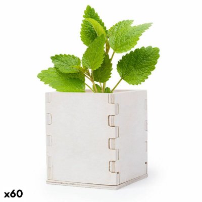 Odlingsset 146223 (60 antal) (Färg: Naturlig)