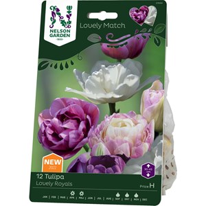 Höstlök Nelson Garden Tulpan LM Lovely Royals