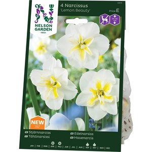 Höstlök Nelson Garden Stjärnnarciss Lemon Beauty Vit/Gul