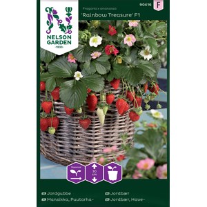 Fröer Nelson Garden Jordgubbe Rainbow Treasure F1