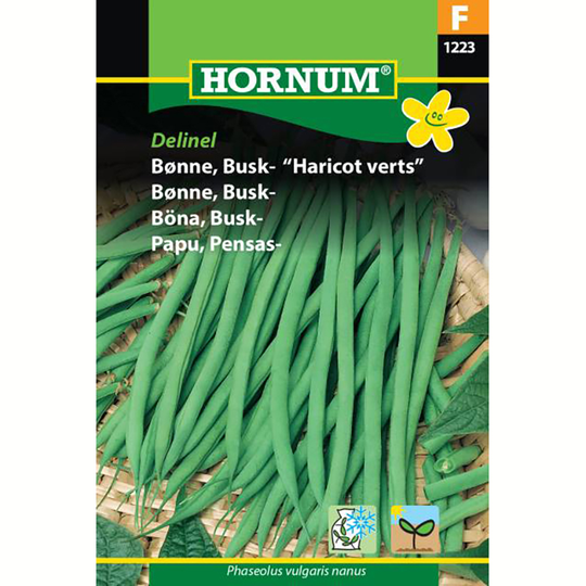Buskböna 'Delinel'