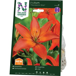 Höstlök Nelson Garden Lilja Asiat Pollenfri Mandarin Star