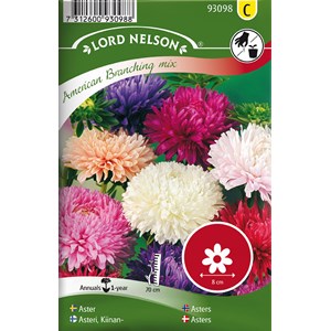 Fröer Nelson Garden Aster Busk Amerikansk
