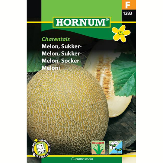 Sockermelon 'Charentais'