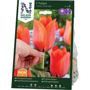 Höstlök Nelson Garden Påfågelstulpan Casa Grande Orange