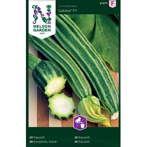 Fröer Nelson Garden Squash Latino F1