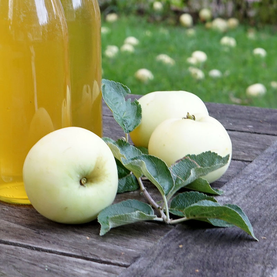 Ympris äpple 'Transparente Blanche'