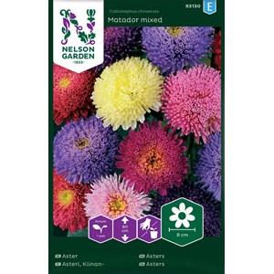 Fröer Nelson Garden Aster Matador Blandade färger