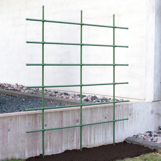 Växtspaljé, grön 200 cm