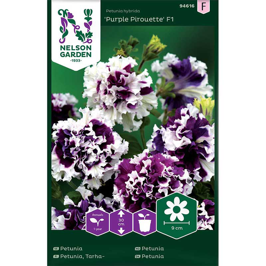 Petunia 'Purple Pirouette' F1