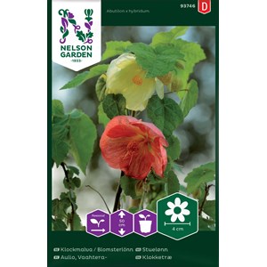 Fröer Nelson Garden Klockmalva