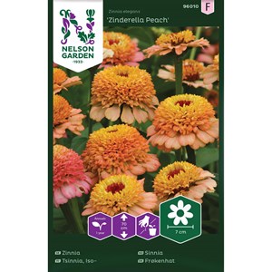 Fröer Nelson Garden Zinnia Zinderella Peach