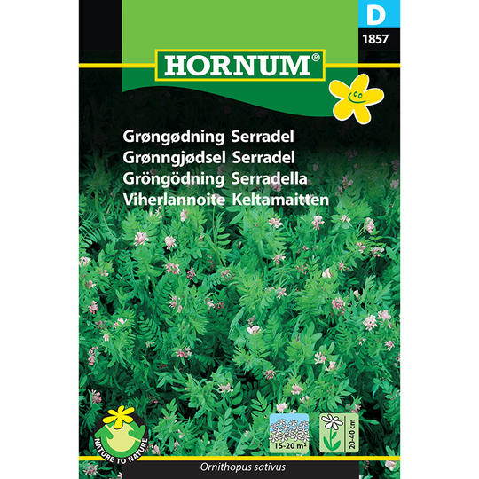 Gröngödsling Serradella