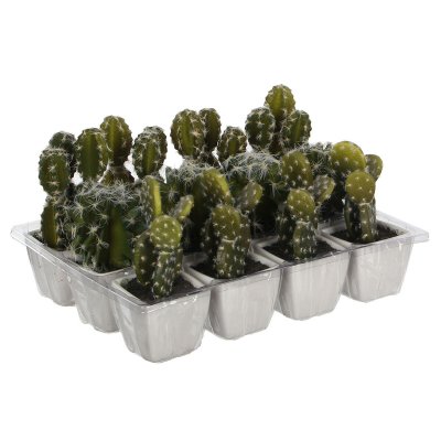 Dekorativ växt Mica Decorations 14 cm Kaktus PVC
